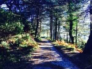 Hiking Around Kotor: Vrmac Hill Hike