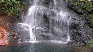 Hiking in the Cockscomb Basin Wildlife Sanctuary - Belize