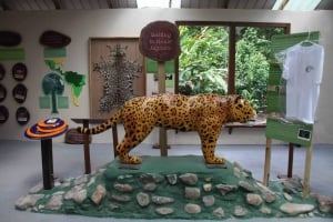 Hiking in the Cockscomb Basin Wildlife Sanctuary - Belize