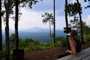 Hiking in the Cockscomb Basin Wildlife Sanctuary - Belize