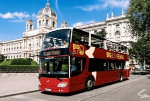 Hop On Hop Off Vienna: The Easiest Way to See the City in 1 Day