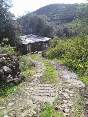How Many of These Five Beautiful Alfresco Restaurants in Tenerife do you know?