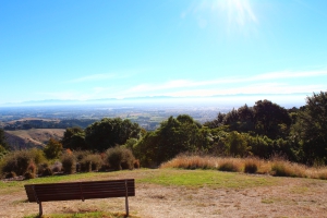 Victoria Park - Inspiring Views Around Christchurch