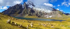 International Mountain Day: get to know the 7 highest mountains in Peru