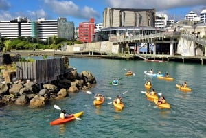 Kayaking in Wellington: The Ultimate Guide to Exploring New Zealand's Capital City