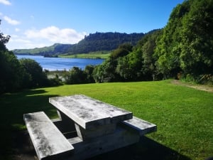 Lake Okareka Walk