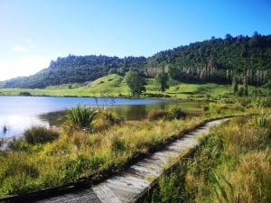 Lake Okareka Walk