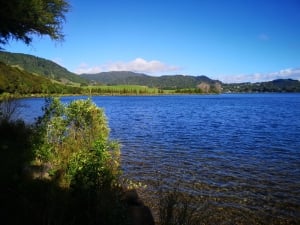 Lake Okareka Walk