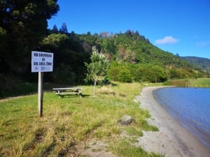 Lake Okareka Walk