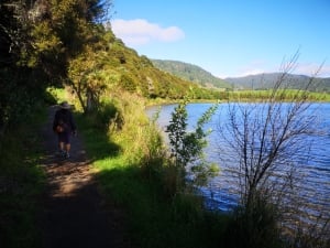Lake Okareka Walk