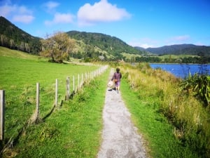 Lake Okareka Walk