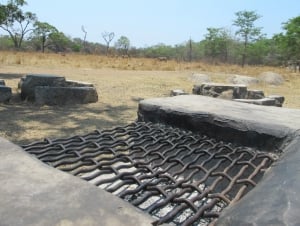 Lion and Cheetah Park and Snake World Visit