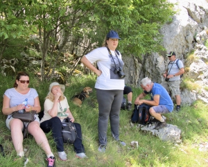 Short Break in the Shades