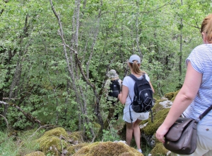 Hikers and Adventurers 