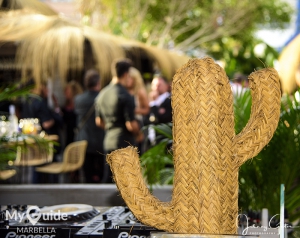 Marbella media frenzy as Pamela Anderson opens Playa Padre with Maria Bravo