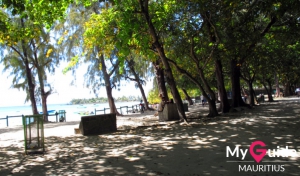 Mauritius Beach - Pereybere