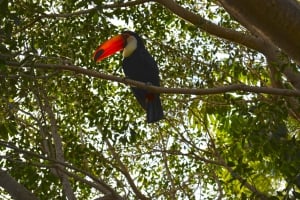 Meet the new arrival at Terra Natura Benidorm