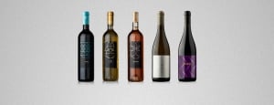 Mola Wines - A Unique Winemaking and Tasting Experience in Montenegro