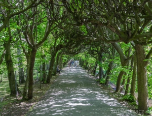 MUSIC, ARCHITECTURE AND THE REST