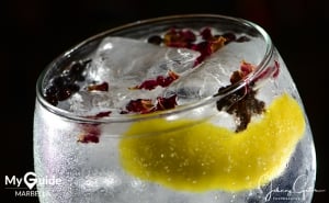 National Gin & Tonic Day Marbella