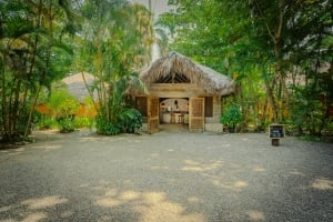 Natura Cabana Boutique Hotel & Spa: A Sanctuary of Wellness and Sustainability in the Dominican Republic