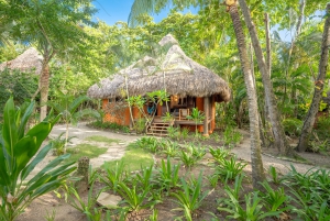 Natura Cabana Boutique Hotel & Spa: A Sanctuary of Wellness and Sustainability in the Dominican Republic