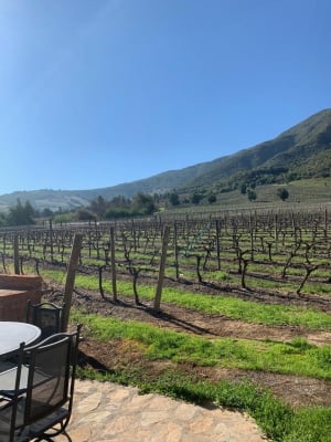 Inte allt är vin! 5 turistattraktioner i Colchagua Valley