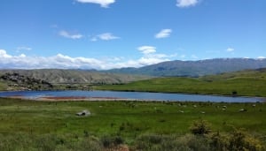 Our Cycling Journey On The Otago Rail Trail