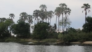 Our Memorable Visit To Old Drift Lodge