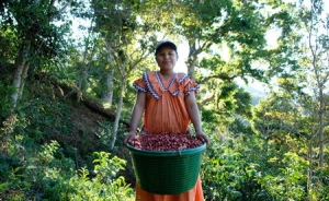 Panama starts tourism promotion activities for nationals and foreigners