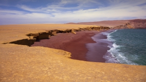 Paracas national reserve