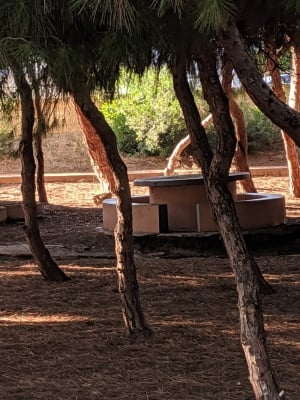 Parque del Molino de agua