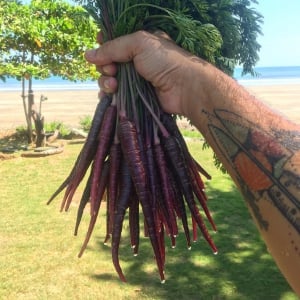 Pedasi restaurant 'Panga' is nominated in 'The World Restaurant Awards'