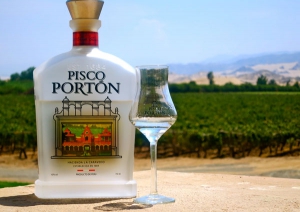 Pisco vineyard