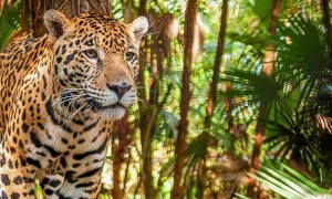 Places to know - Tourist destinations