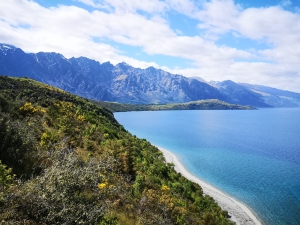 Queenstown to Jack's Point Bike Trail