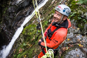 Rado's Top 5 For the Summer 2019