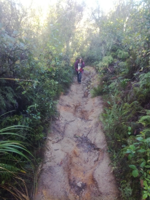 Rainbow Mountain Summit  - Walking Shoes Needed