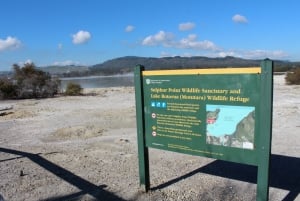 Sulphur Point - Rotorua City Walk