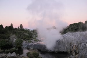 Rotorua Geysers