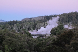 Rotorua Geysers