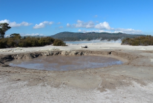 Sulphur Point - Rotorua Mud Pools