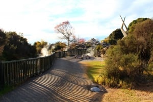 Kuirau Park - Rotorua Mud Pools