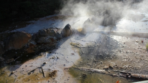 Kuirau Park -  Mud Pools