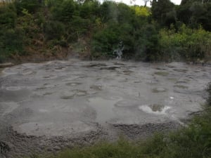 Te Puia - Rotorua Mud Pools
