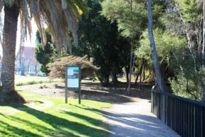 Rotorua Sculpture Trail