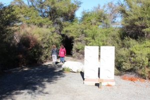 Rotorua Sculpture Trail