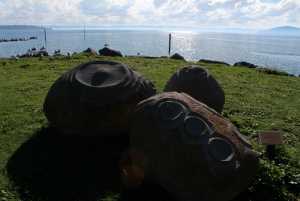 Rotorua Sculpture Trail