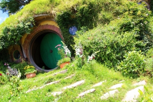 Rotorua To Hobbiton