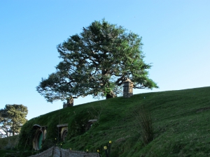 Rotorua To Hobbiton